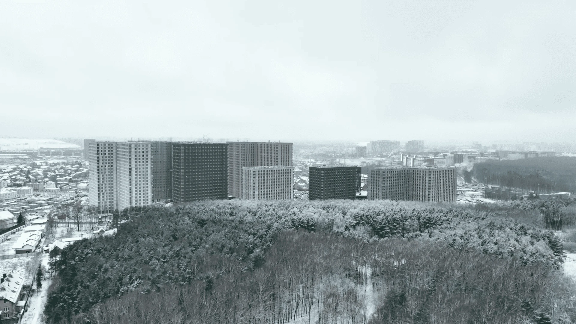 ������ ��������� ����